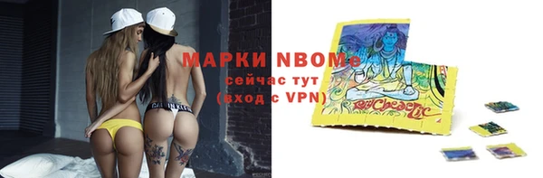 хмурый Аркадак