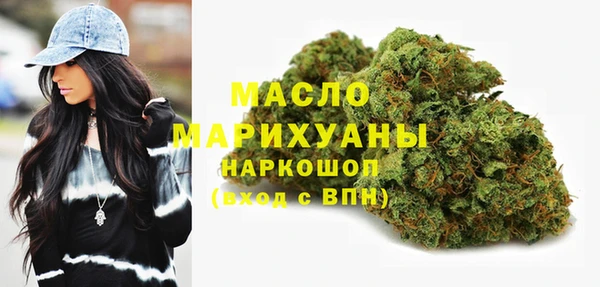 хмурый Аркадак