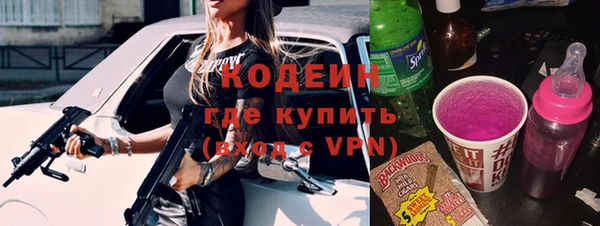 хмурый Аркадак
