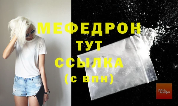 хмурый Аркадак