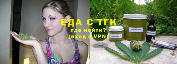 хмурый Аркадак
