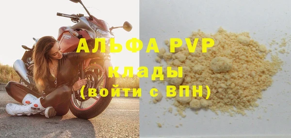 хмурый Аркадак