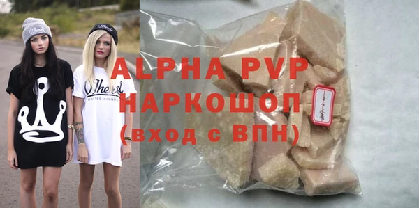 хмурый Аркадак